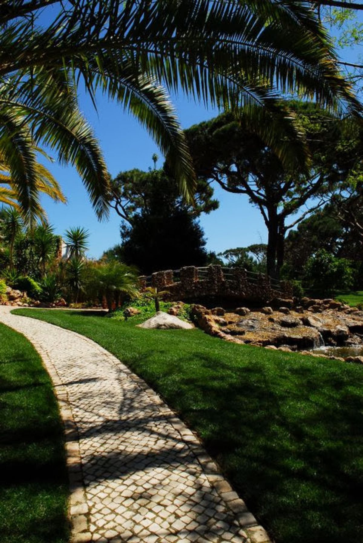 imagini hotel FALESIA