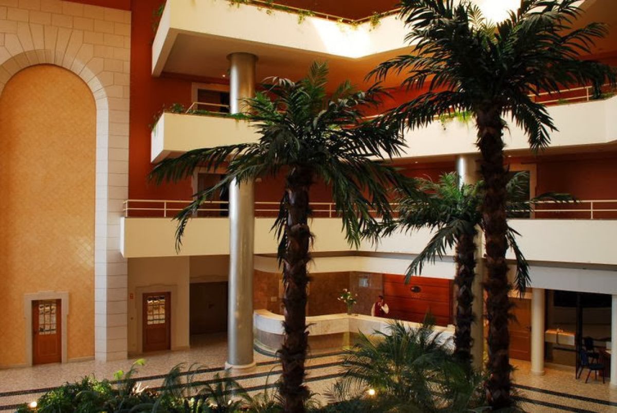 imagini hotel FALESIA