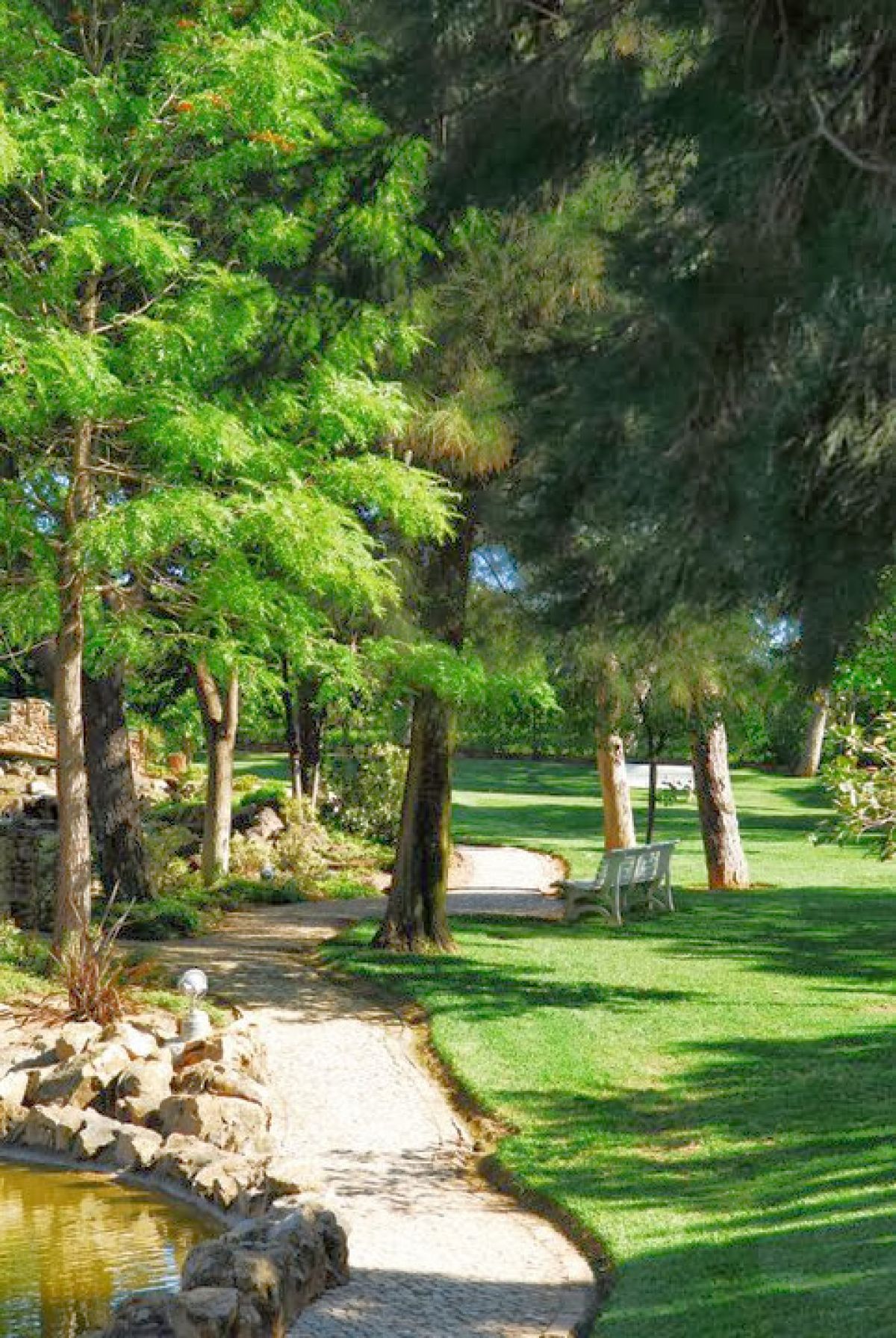 imagini hotel FALESIA