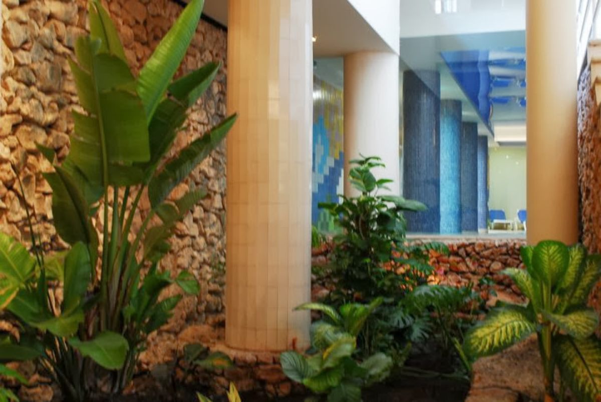 imagini hotel FALESIA