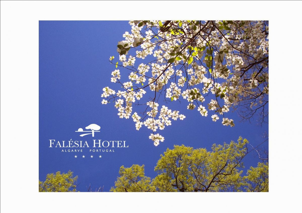 imagini hotel FALESIA