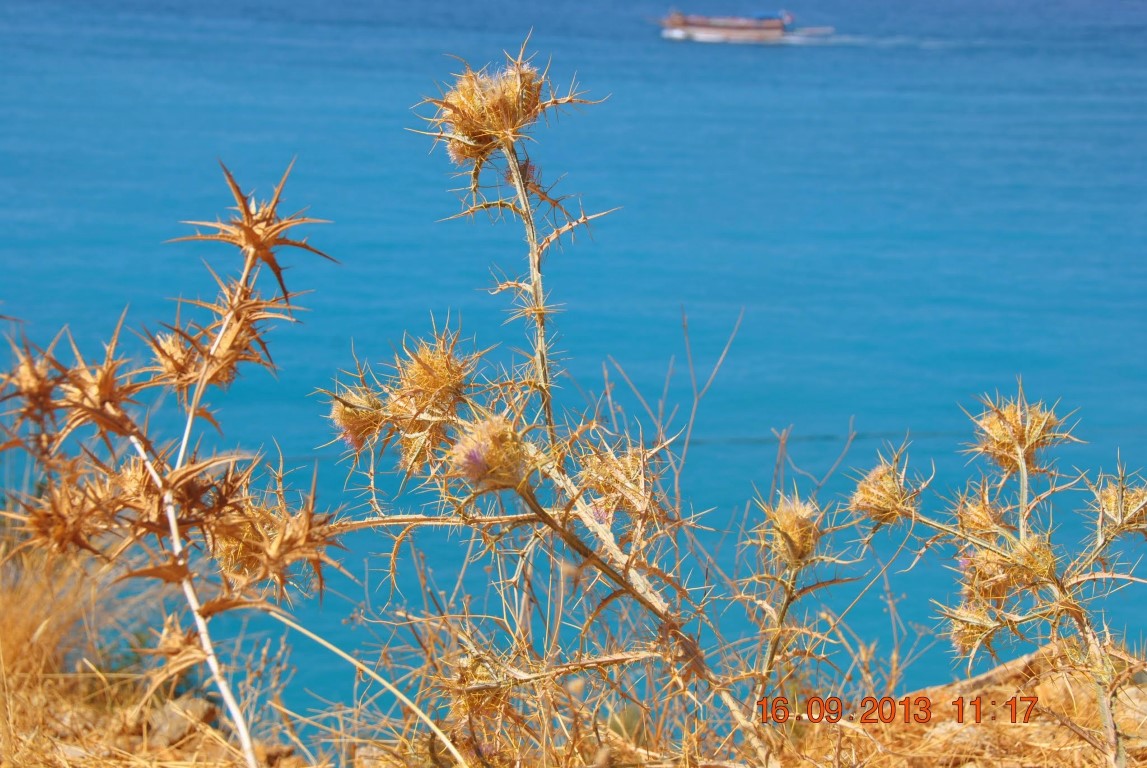 imagini hotel OLUDENIZ