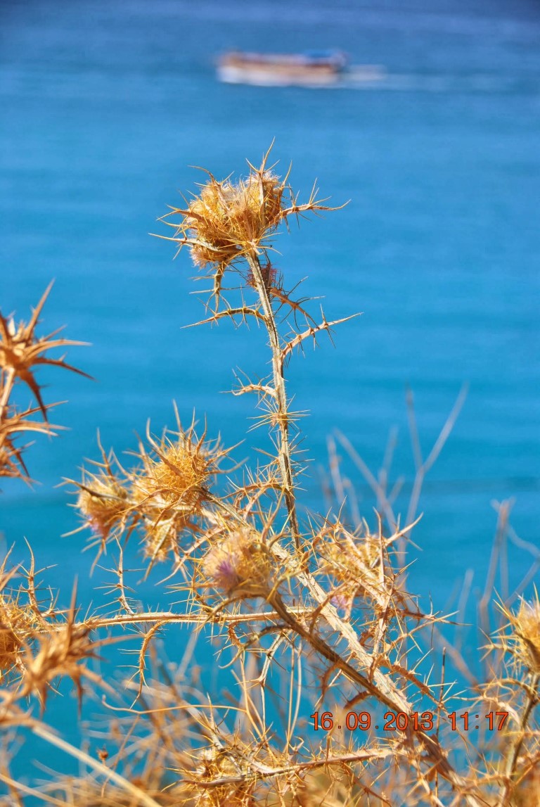 imagini hotel OLUDENIZ